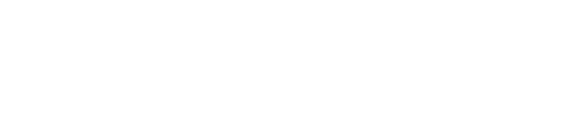 UNLIMITED_Telecom_Logo(white)
